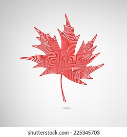 Maple leaf in greative design. EPS10 vector illustration.