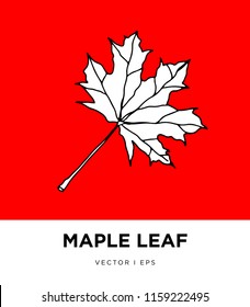 Maple leaf hand drawn illustration. Fall topic doodling.