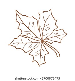 Ahornblatt handgezeichnete Linie Element Herbst Saison.Vektorgrafik. EPS 10
