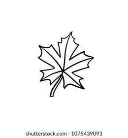 Maple leaf hand drawn vector outline doodle icon. Vector sketch illustration of maple leaf for print, web, mobile and infographics isolated on white background.