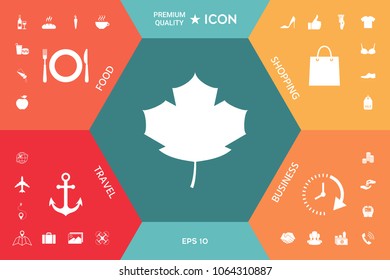 Maple leaf icon