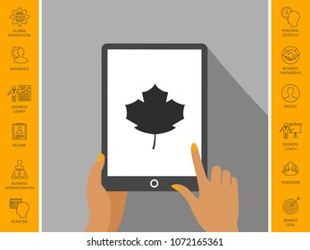Maple leaf icon