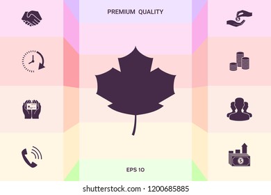 Maple leaf icon
