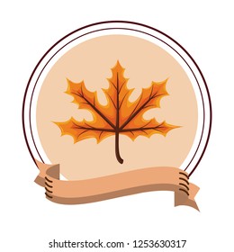 maple leaf icon