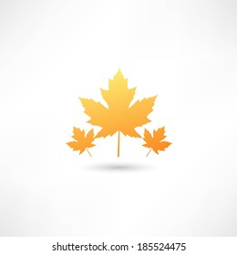 maple leaf icon