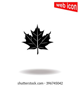 Maple leaf icon.