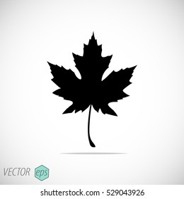 Maple Leaf Icon.

