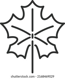 Maple leaf icon. Autumn tree black line symbol