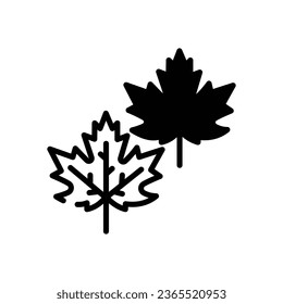 Maple Leaf Icon autumn vector stock illustration.