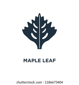 Maple leaf icon. Black filled vector illustration. Maple leaf symbol on white background. Can be used in web and mobile.