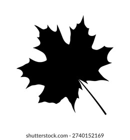 Maple leaf icon 