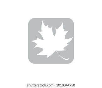 Maple leaf icon. Canadian symbol. Vector illustration