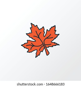Maple leaf icon colored line symbol. Premium quality isolated nature element in trendy style.