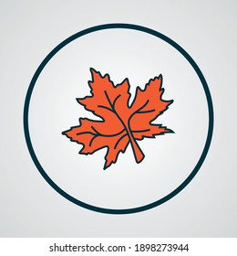 Maple Leaf Icon Colored Line Symbol. Premium Quality Isolated Nature Element In Trendy Style.