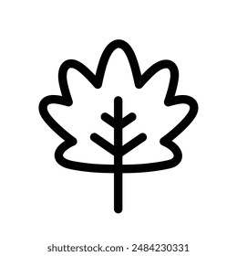 Maple leaf icon design in filled and outlined style