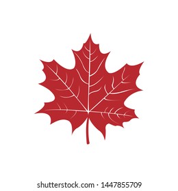 maple leaf icon design vector 