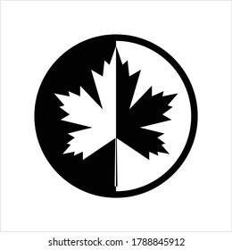 Maple Leaf Icon Design Vector Art Illustration
