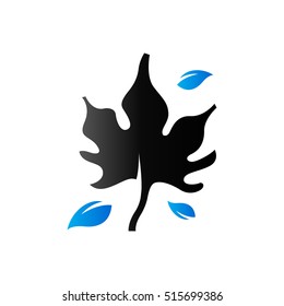 Maple leaf icon in duo tone color. Autumn fall leaves