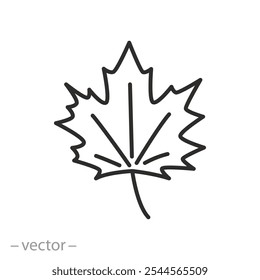 maple leaf icon, fall leaves, concept autumn, thin line symbol on white background - editable stroke vector illustration eps10