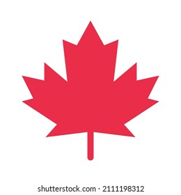 Maple leaf icon flat design isolated on white background
