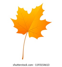 Maple leaf icon. Flat illustration of maple leaf vector icon for web design