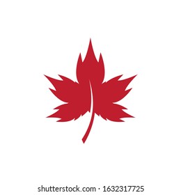 Maple leaf icon. Flat illustration of maple leaf vector icon for web design