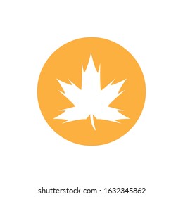 Maple leaf icon. Flat illustration of maple leaf vector icon for web design
