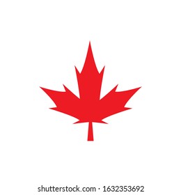 Maple leaf icon. Flat illustration of maple leaf vector icon for web design