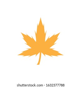 Maple leaf icon. Flat illustration of maple leaf vector icon for web design