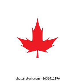 Maple leaf icon. Flat illustration of maple leaf vector icon for web design