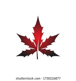 Maple leaf icon. Flat illustration of maple leaf vector icon for web design