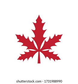 Maple leaf icon. Flat illustration of maple leaf vector icon for web design