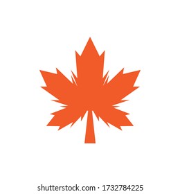 Maple leaf icon. Flat illustration of maple leaf vector icon for web design