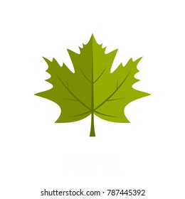 Maple leaf icon. Flat illustration of maple leaf vector icon isolated on white background