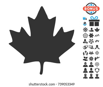 Maple Leaf icon with free bonus symbols. Vector illustration style is flat iconic symbols.