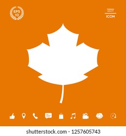 Maple leaf icon. Graphic elements for your design
