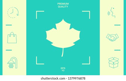 Maple leaf icon. Graphic elements for your design