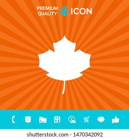 Maple leaf icon. Graphic elements for your design