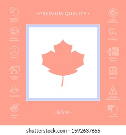 Maple leaf icon. Graphic elements for your design