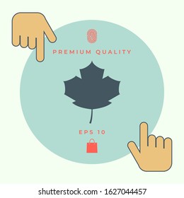 Maple leaf icon. Graphic elements for your design