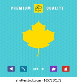 Maple leaf icon. Graphic elements for your design