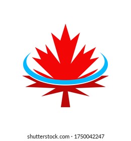 Maple leaf icon image vector template