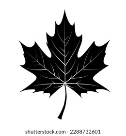 Maple leaf icon isolated. Vector Illustration EPS10