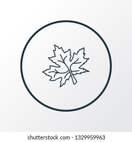 Maple leaf icon line symbol. Premium quality isolated nature element in trendy style.