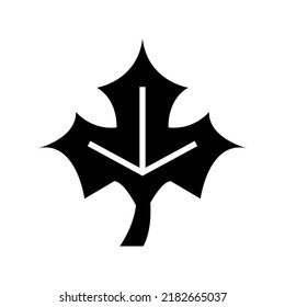 maple leaf icon or logo isolated sign symbol vector illustration - high quality black style vector icons
