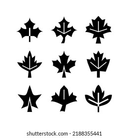 maple leaf icon or logo isolated sign symbol vector illustration - high quality black style vector icons
