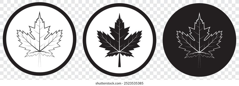 Maple leaf icon or logo in modern line style. Vector illustration on a transparent background. EPS 10.