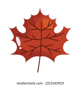 maple leaf icon on white background
