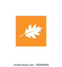 maple leaf icon orange vector