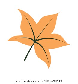 maple leaf icon over white background, half line half color style, vector illustration